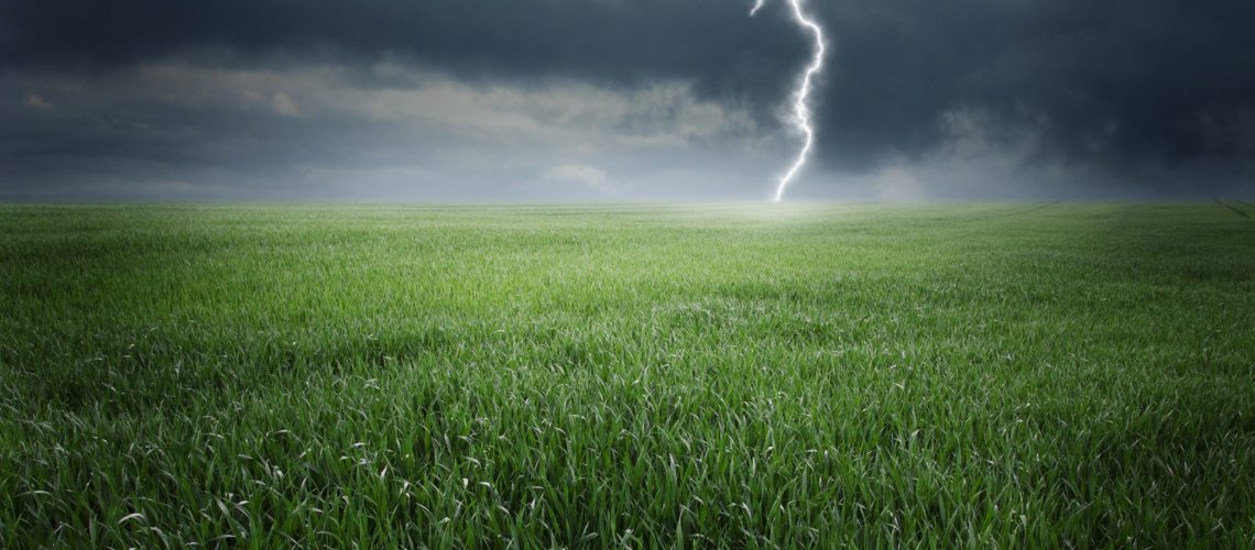 Gestão de Risco Agronegócio